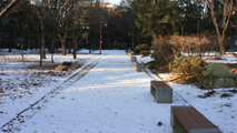 눈이 내린 공원에서,서울특별시 강남구