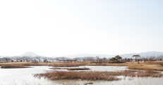 [탐사] 국내 최대 자연생태계의 보고 전라남도 순천시,전라남도 순천시