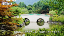 계룡산 국사봉 자락에 자리한 금강자연휴양림,세종특별자치시 