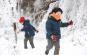 대둔산 수락계곡 얼음축제,지역축제,축제정보
