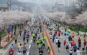 예산윤봉길전국마라톤대회,지역축제,축제정보