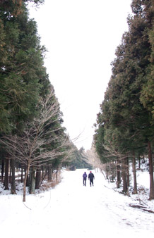 천연미의 절경을 만나는 제주