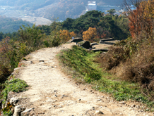 백제의 고성, 독산성