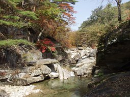 문경새재도립공원,국내여행,여행지추천