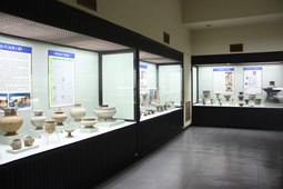 부산대학교 박물관,국내여행,여행지추천