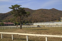 연천승마공원,국내여행,여행지추천