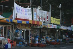 죽도먹거리촌,국내여행,여행지추천